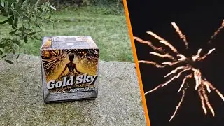 Lesli - Gold Sky Batterie | 1,99&euro; ausm Netto!