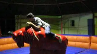 Faheem & Bull in Nisar Shaheed Park