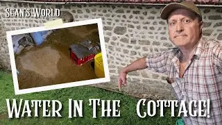 When Heavy Rain Invades: Cottage Renovation Journey!