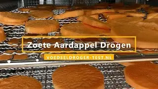 Zoete Aardappel Drogen Voedseldroger | Gedroogde zoete aardappel tips