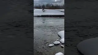 Echoing crunch of ice and snow over water #who222 #yearofyou #asmr #winter #explore #wilderness #fun