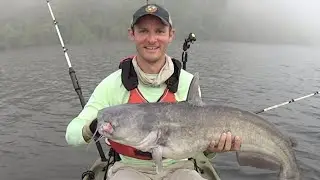 Foggy Morning Blues: Trolling the Tennessee River for Blue Catfish