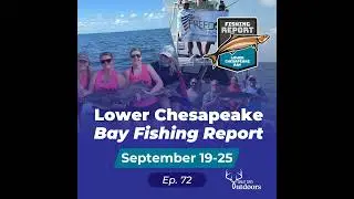 Last days of Cobia Season 2025 and wreck fishing for Tog, Seabass, Triggerfish & Flounder
