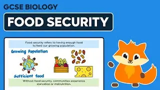 Food Security - GCSE Biology