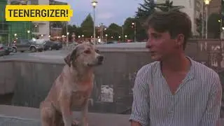 Даня, собака и важность тестирования\Danya, Dog and importance of being tested