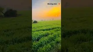 MORNING VIEW GAO KA # VIEW#viral #shortsfeed
