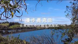 [中文/Eng] A place you might easily missed! Ōrākei basin walkway with beautiful view