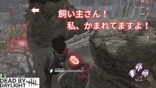 【DBD】イキりモレル、犬の散歩おばさんに襲われる