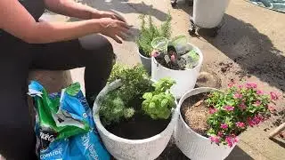 Planting a Mini Herb Garden Right Outside My Kitchen Door | Easy Patio Gardening