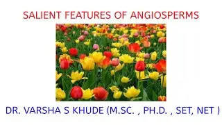 SALIENT FEATURES OF ANGIOSPERMS | By Dr. Varsha S Khude