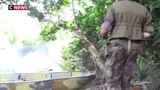 L'or vert en danger : l'armée française au cœur de l'Amazonie