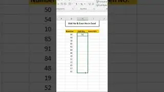 Odd and Even Formula in Excel || Odd and Even Number in Excel