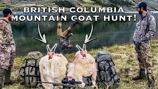 BC MOUNTAIN GOAT HUNT! - (Pt. 1) Billy Goat at 65 Yards!