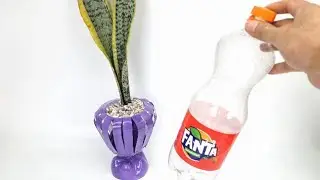 KERAJINAN DARI BOTOL PLASTIK || POT BUNGA