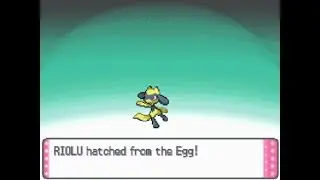 LIVE!!! SHINY RILEY'S RIOLU AFTER 3203 HATCHED!!!