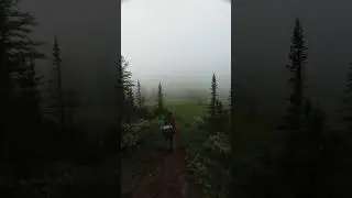 Man walks in the forest #fog #forest #hiking