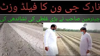how to grow g1 garlic/g1 garlic in Pakistan/g1 garlic farming/dera nawazsh ali