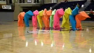 Cartoon Heroes...dshs colorguard body bags