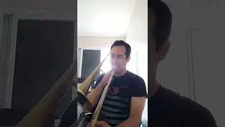 Estudo n&deg; 18 para viol&atilde;o popular de Geraldo Vespar.