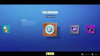 Fortnite STW Founder Epic Code 