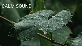 Relaxing Music [Piano soft sound] / Best for relaxing after work