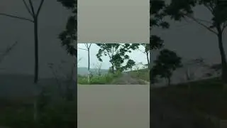 Kumai,Remote  home stay,peaceful place