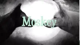 Интро для Moskey