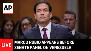 LIVE: Marco Rubio appears before Senate panel on Venezuela