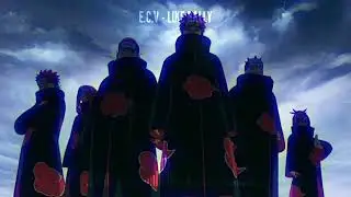 E C V   LIKE RALLY