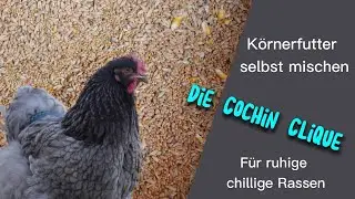 K&ouml;rnerfutter selbst mischen, Verfettung vorbeugen  | Folge 24 | Die Cochin Clique
