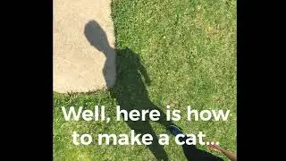 How To Make A Shadow Puppet Cat