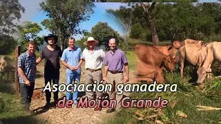 Asociación Ganadera de Mojón Grande | Misiones Argentina.