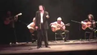 Manuel Palacin, Bulerias