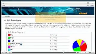 How to use Disk usage in cpanel