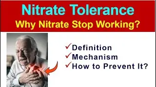 Nitrate Tolerance Explained | Definition, Mechanism & How To Prevent It