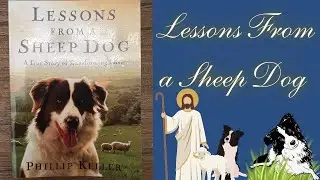 Lessons From a Sheep Dog Book Summary