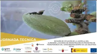 JORNADA SITUACIÓN DE LA AVISPILLA DEL ALMENDRO y PROYECTOS DE TRANSFERENCIA DEL CONOCIMIENTO PEPAC