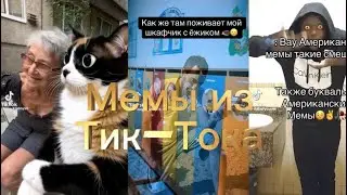 Мемы из тик тока