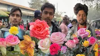 New Rose Variety First Time 🌹 Soma Sila Manosh Blush Riviera at Galiffstreet | Best Flowers Forever 