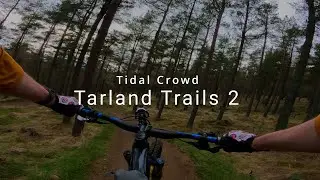 Tidal Crowd, Tarland Trails 2
