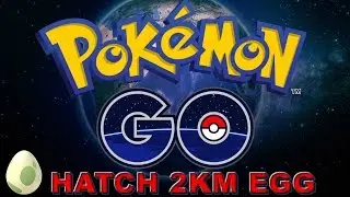 Pokemon GO - Hatching 2KM EGG