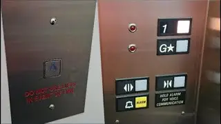 Hutt's Hidden Secret! | OTIS Series 1 Hydraulic Lift | Upper Hutt CBD