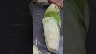 Taro root cutting #freshharvest #satisfying