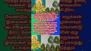 Ratha saptami 2026 date
