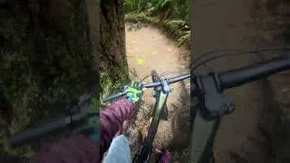 Trim them handlebars