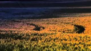 Forgiveness & Loving Kindness Meditation with Craig Matsu-Pissot
