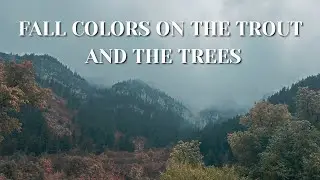 Fly Fishing the Blacksmith Fork in UTAH (pt. 1)