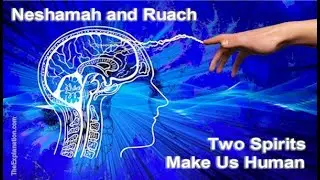 Neshamah and Ruach, the Ultimate Backbone of Humans