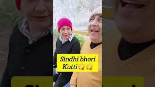 Sindhi comedy for every one#viral#breakingnews#funny#bestjokes#sindhi#youtube#reels#best#lifestyle