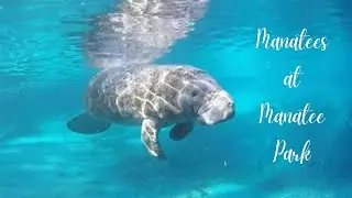 Manatee Park